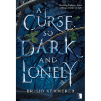 „A Curse So Dark and Lonely” Brigid Kemmerer – zapowiedź książka