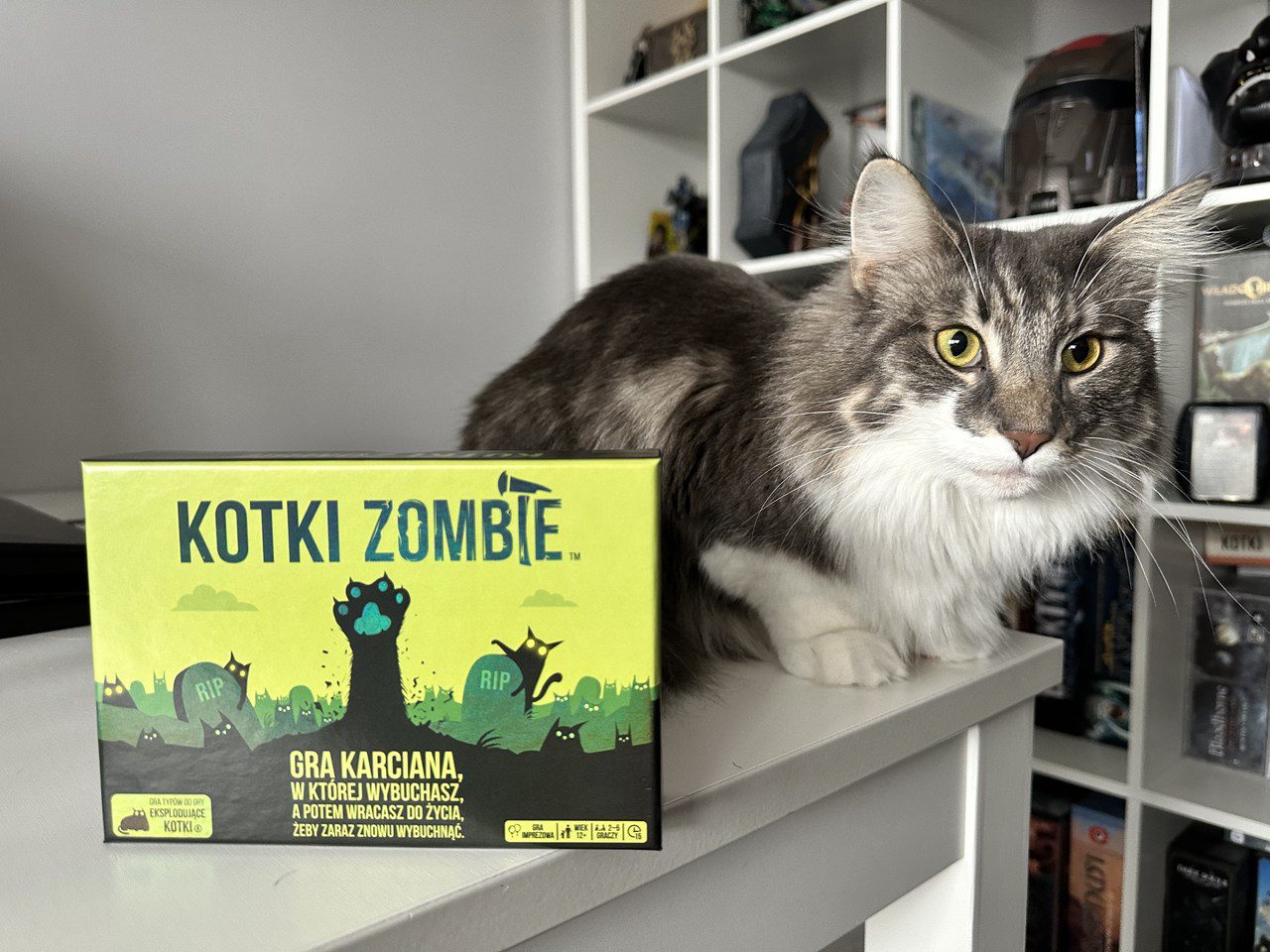Eksplodujące Kotki zombie
